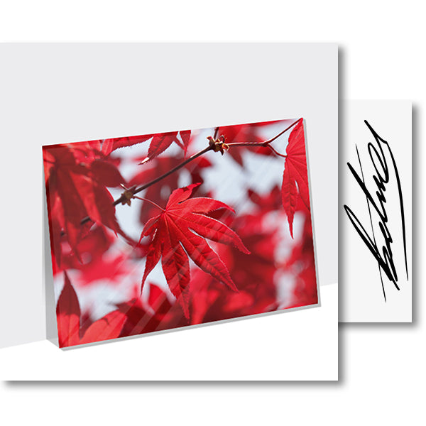 Red Marpel (Foto) – Acrylglasplatte
