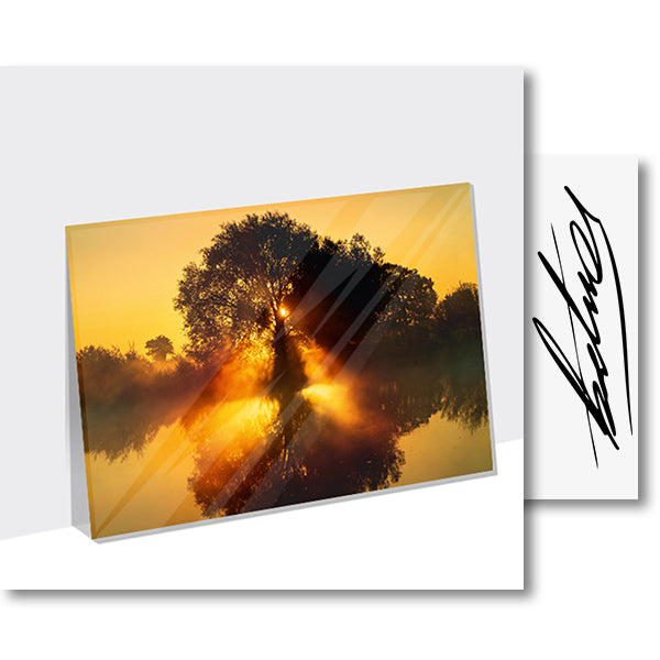 Baum im Sonnenuntergang (Foto) – Acrylglasplatte